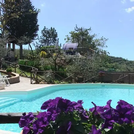 Podere Val Di Gallo